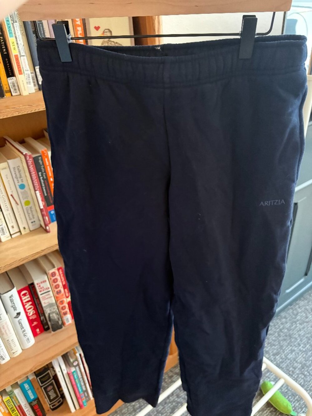 Aritzia Sweatpants